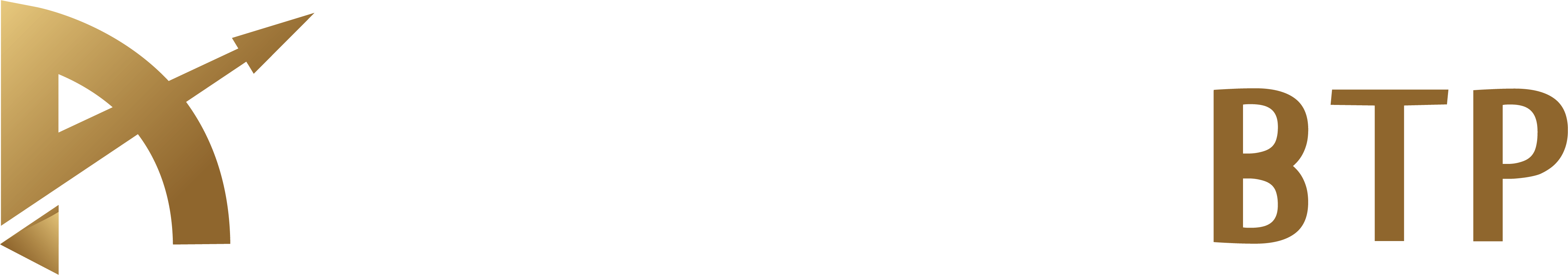 Artemis BTP